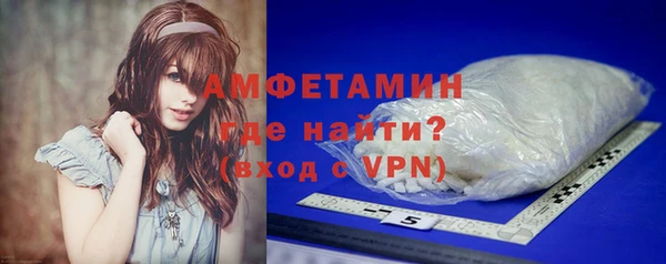 индика Верея