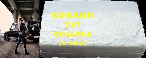 индика Верея