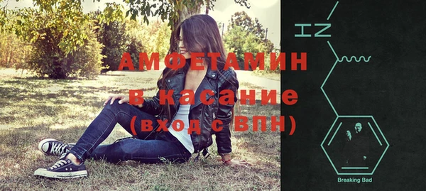 индика Верея