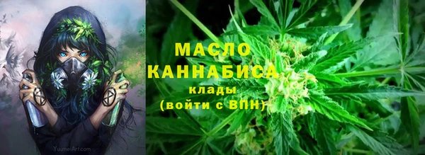 индика Верея