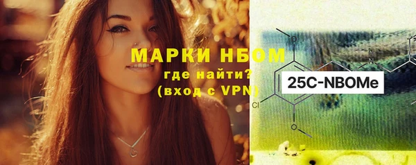 индика Верея