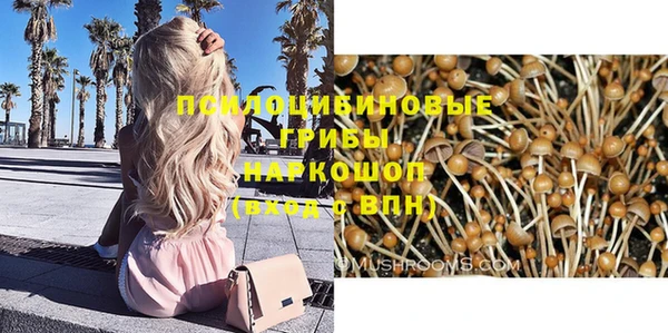 ECSTASY Верхний Тагил